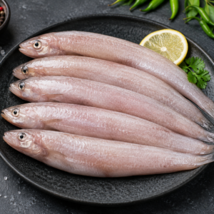 Bombay Duck