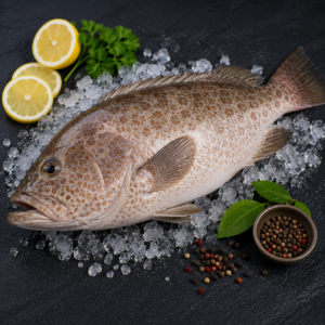 Fish Grouper