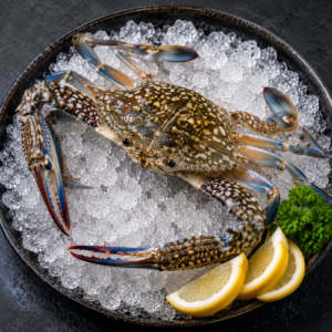 Crab Medium (200–300 gm)
