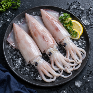 Squid Whole