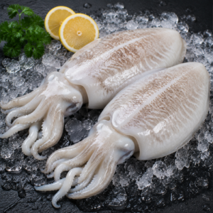 Fish Cuttle